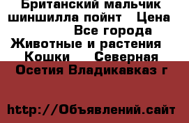 Британский мальчик шиншилла-пойнт › Цена ­ 5 000 - Все города Животные и растения » Кошки   . Северная Осетия,Владикавказ г.